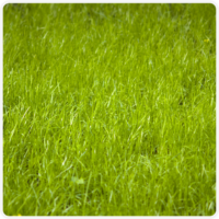 barvy_19