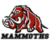 Přerov Mammoths