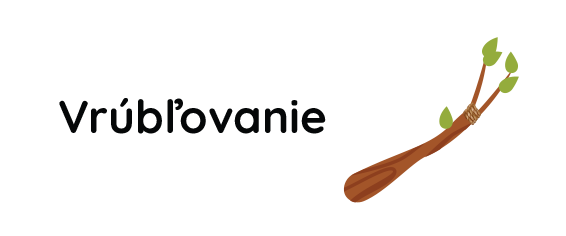 ico-vpravo-vlastnosti-steparsky vosk-roubovani-sk