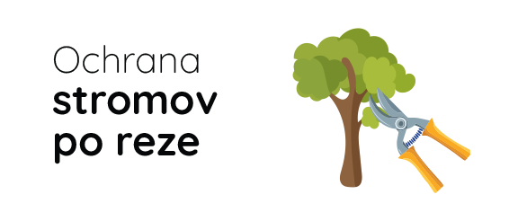 ico-vpravo-vlastnosti-stromovy balzam-ochrana stromu po rezu-sk