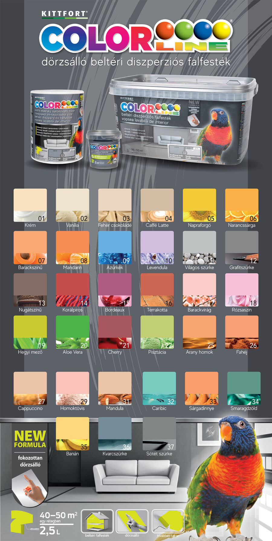 COLORLINE egyrétegű színes beltéri falfesték